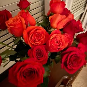 Meet your Posher, Faye